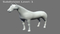 Horse-Grey-Rigged25