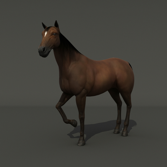 Horse-RIGGED1