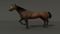 Horse-RIGGED2
