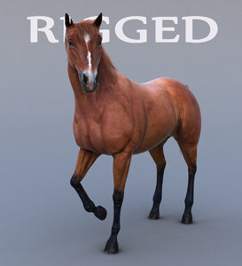 Horse-Realistic-and-RIGGED1