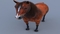 Horse-Realistic-and-RIGGED12