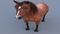 Horse-Realistic-and-RIGGED14