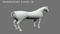 Horse-Realistic-and-RIGGED21