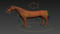 Horse-Realistic-and-RIGGED23