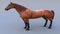 Horse-Realistic-and-RIGGED3