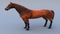 Horse-Realistic-and-RIGGED4