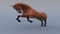 Horse-Realistic-and-RIGGED5