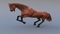 Horse-Realistic-and-RIGGED6