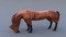 Horse-Realistic-and-RIGGED7