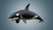 Killer-Whale-Rigged2
