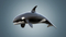 Killer-Whale-Rigged3