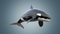 Killer-Whale-Rigged6