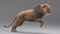 Lion-Animated-Fur-3D-model11