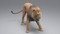 Lion-Animated-Fur-3D-model13
