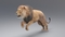 Lion-Animated-Fur-3D-model18