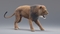 Lion-Animated-Fur-3D-model2