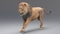 Lion-Animated-Fur-3D-model22