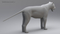 Lion-Animated-Fur-3D-model24