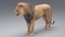Lion-Animated-Fur-3D-model9