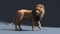 Lion-Rigged-Fur5