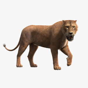 Lioness-Rigged-Fur1