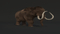 Mammoth-rigged3