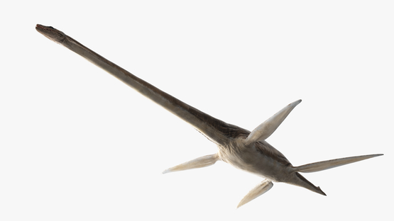 Plesiosaur-model1