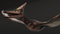 Pteranodon-Animated-3D-model13