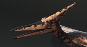 Pteranodon-in-Zbrush1