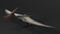 Pteranodon-in-Zbrush2