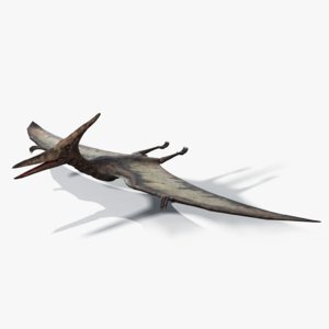 Pteranodon1