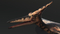 Pteranodon10