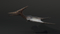 Pteranodon4