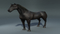 Realistic-Horse-Rigged113