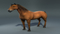Realistic-Horse-Rigged114