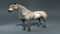 Realistic-Horse-Rigged115
