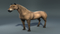 Realistic-Horse-Rigged116
