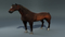 Realistic-Horse-Rigged118