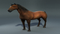 Realistic-Horse-Rigged119