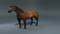Realistic-Horse-Rigged12