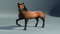 Realistic-Horse-Rigged15