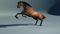 Realistic-Horse-Rigged16