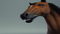 Realistic-Horse-Rigged18