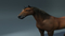 Realistic-Horse-Rigged19