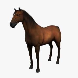 Realistic-Horse1