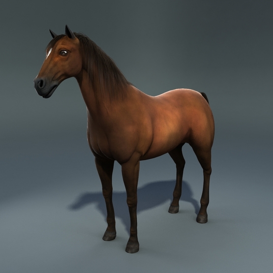 Realistic-Horse1
