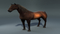 Realistic-Horse10