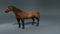 Realistic-Horse2