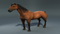 Realistic-Horse3
