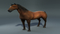 Realistic-Horse4